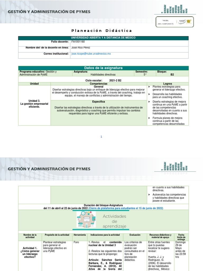 Estrategias de Liderazgo en PyMEs | PDF | Evaluación | Liderazgo