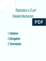 Dna Replication Process