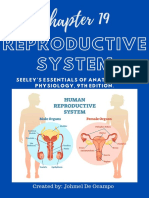 Anatomy & Physiology (Chapter 19 - Reproductive System)