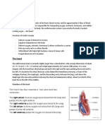 Pulmonary and Cardio System