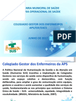 Apresentação Colegiado Gestor - Enfermeiros - 2017