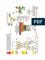 Como Se Evidencia en El Mapa Anterior