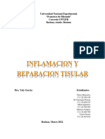 #Inflamacion y Reparacion Tisular