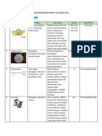 Kisi-Kisi Responsi Ekologi