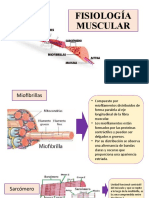 Fisiología Muscular