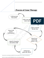 The Basic Process of Gene Therapy Erica G