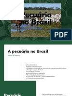 Pecuária No Brasil