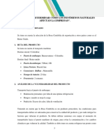 Instructivo "Determinar Cómo Los Fenómenos Naturales Afectan La Empresas"