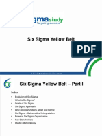 Six Sigma Yellow. Belt