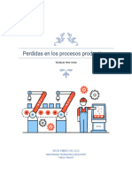 Perdidas en Los Procesos Productivos