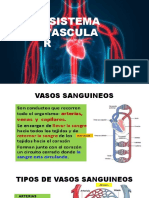 CLASE 5, SISTEMA VASCULAR, Virtual