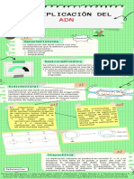 Infografía de Proceso Recortes de Papel Notas Verde