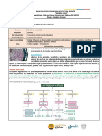 Biologia Del 25 Al 28 de Mayo