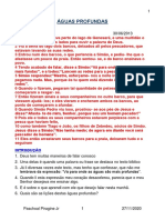 ÁGUAS PROFUNDAS. Paschoal Piragine JR 1 27 - 11 - 2020