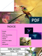 Colibríes