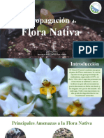 Propagación de Flora Nativa