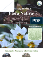 Propagación de flora nativa del Litoral Central