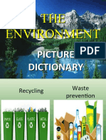 Environment Pictures Flashcards Picture Dictionaries - 72062