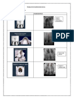 Estructuras Anatomicas