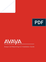 Avaya Call Reporting 4.2 Installation Guide