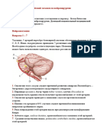 neuroanatomy_2_EANS_tests_ru