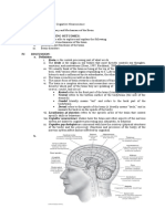 Anatomy of The Brain (Week 3)