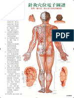人体背面穴位图