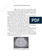 LP Meningioma