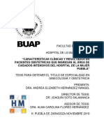 Características Clínicas y Resultados en Pacientes Obstétricas Que Ingresan Al Área de Cuidados Intensivos Del Hospital de La Mujer Puebla