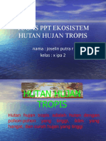 Makalah Hutan Hujan Biologi