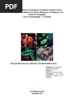 RELATÓRIOS DE MICROBIOLOGIA 1