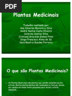 Plantas Medicinais