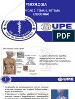 Sistema Endocrino.