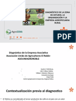 Diagnóstico Empresa Agropecuaria Rural ASOUNIAGROROBLE