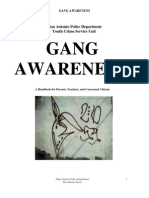 Gang Awareness: San Antonio Police Department Youth Crime Service Unit