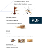 Evaluación de Unidad 2 Ciencias Naturales