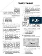 Protozoarios Exercicios