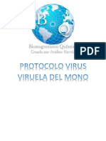 Protocolo Virus Del Mono