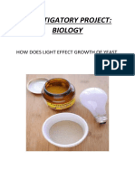 Effects of Light On Yeast Growth FD