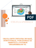 Celula - animala (1) (Автосохраненный)