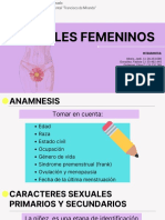 Genitales Femeninos-1
