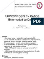 23-Parvovirosis en Patos