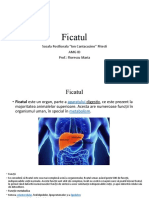 Ficatul