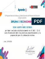 diploma practicas ppp