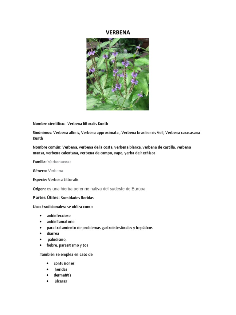 PA0322 (Spring 22) by jparkers - Issuu, image size:768x1024