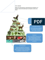 Actividad Numero 4 Ciencias I