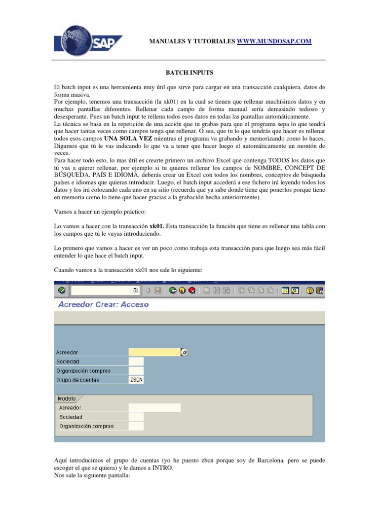 Batch Input para Cargar Proveedores en XK01 | PDF | Archivo de ...