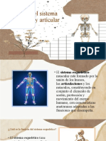 Biologia Sistema Esqueletico y Articular