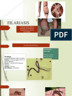 Filariasis y TOXOCARIASIS