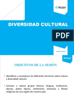 Actividad Semana 11 - Diversidad Cultural 2022-I